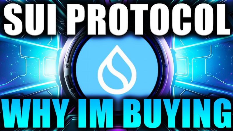 SUI PROTOCOL | WHY I AM BUYING EVEN MORE | MAJOR WEB3 GAMING PLAY