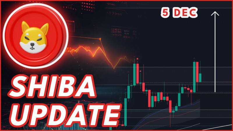 BE PREPARED FOR THIS!🚨 | SHIBA INU COIN PRICE PREDICTION & NEWS 2024!