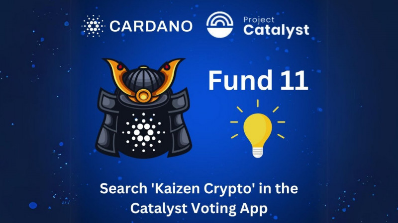 Voting For Catalyst Fund 11 Has Started!