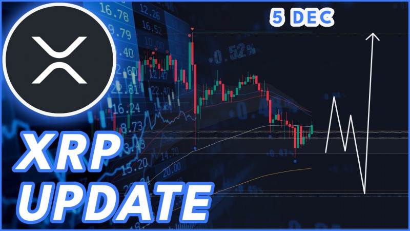 XRP FLUSH WARNING!🚨 | RIPPLE (XRP) PRICE PREDICTION & NEWS 2024!