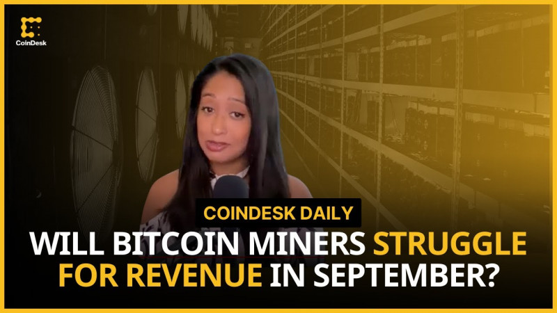 Will September Be Harder for Bitcoin Miners?; Worldcoin Faces Scrutiny in Singapore  CoinDesk Daily