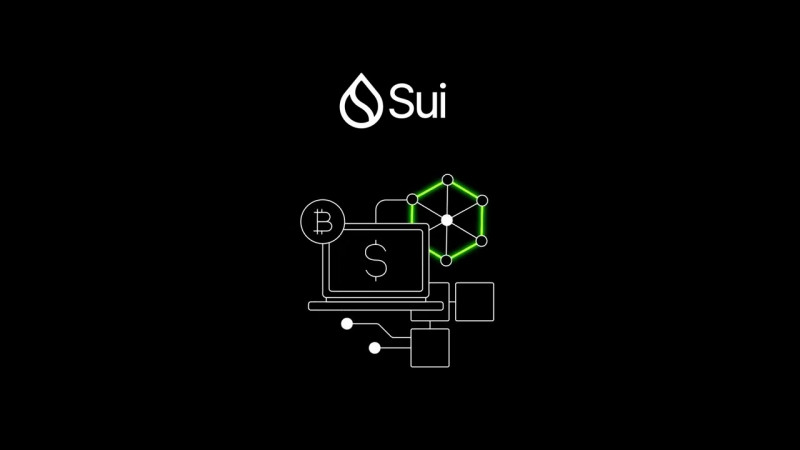 What is Sui?