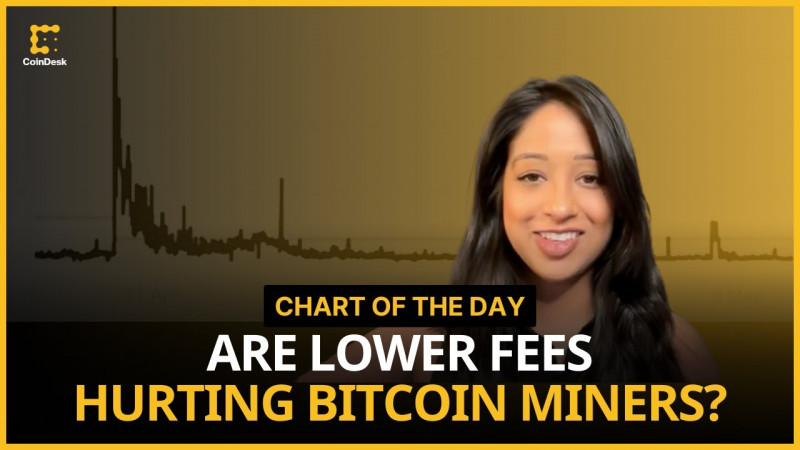 Can Miners Survive Lower Bitcoin Fees and Reduced Rewards? | Chart of the Day